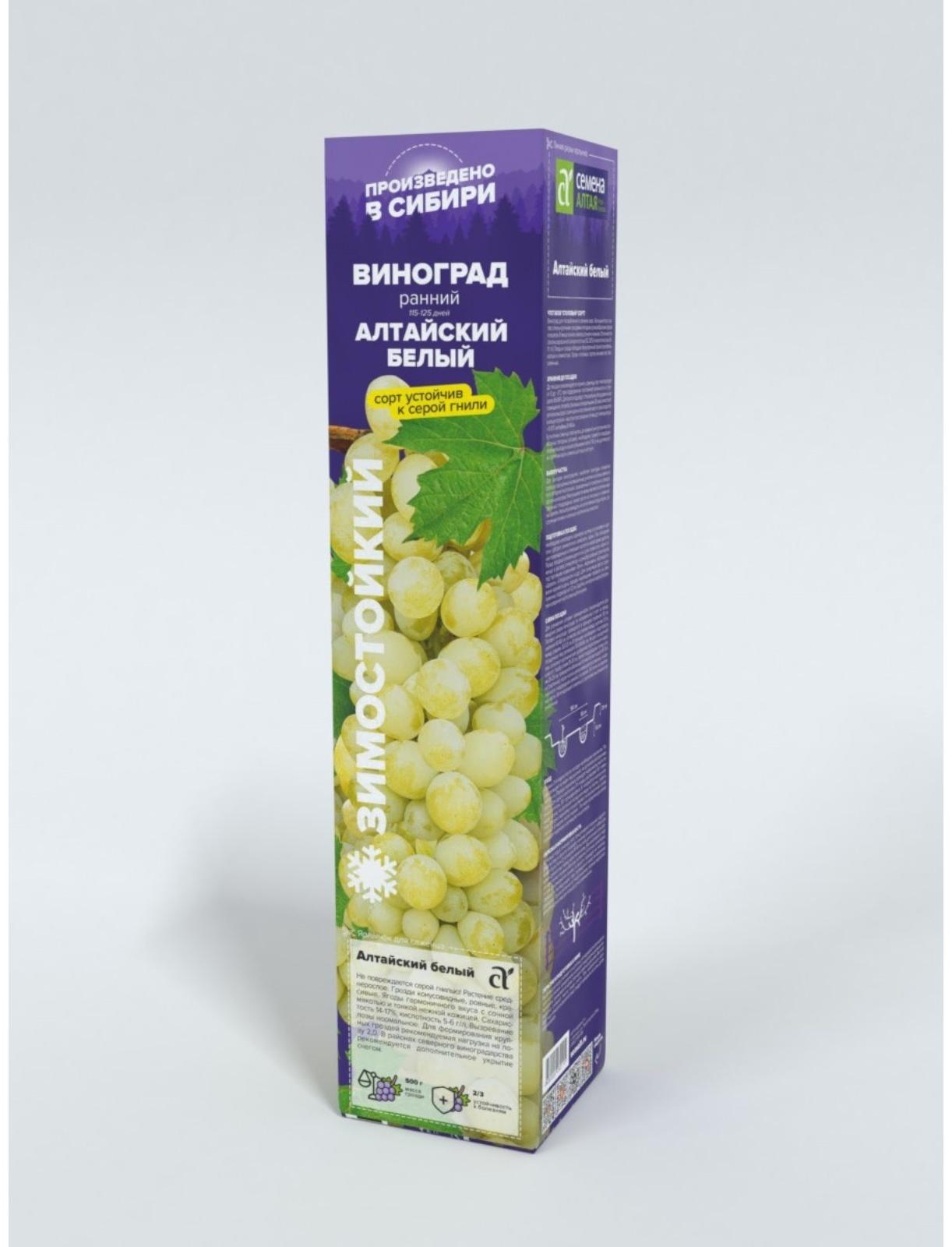 Виноград Алтайский Белый, Весна 2024, 1 шт.