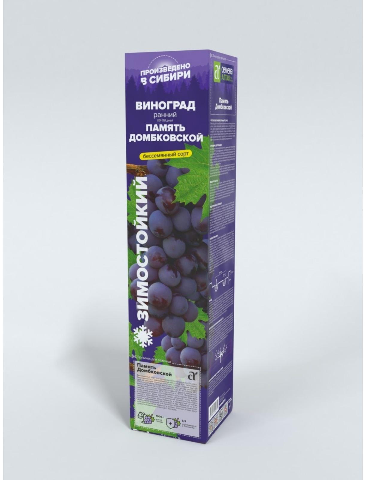 Виноград Память Домбковской, Весна 2024, 1 шт.
