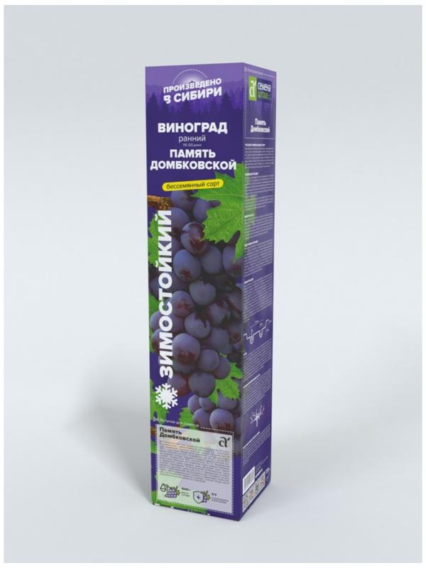 Виноград Память Домбковской, Весна 2024, 1 шт.