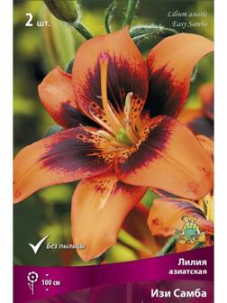 Лилии Азиатские Изи Самба, 14/16 р-р, 2 шт. 100 h(см), Осень 2022