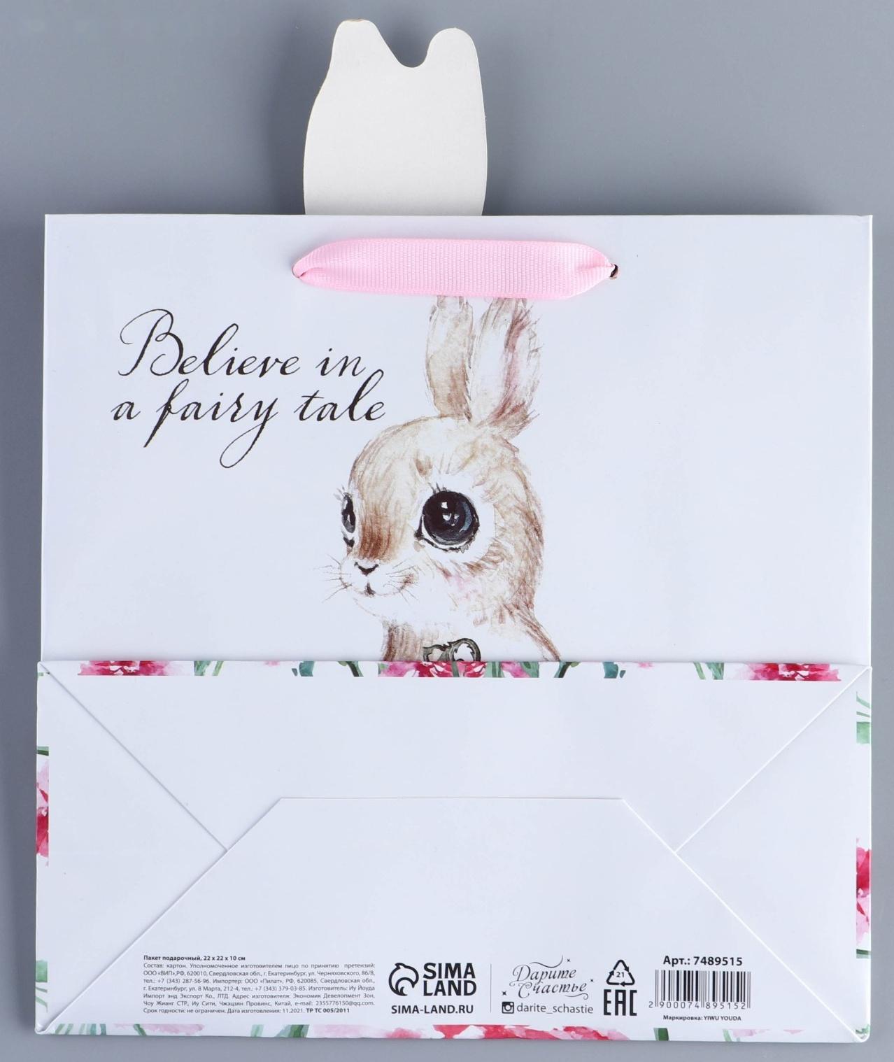 Пакет подарочный «Кролик», 22 × 22 × 10 см