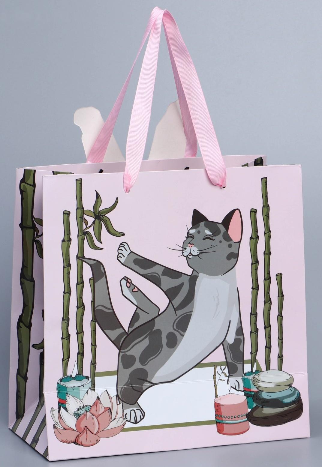 Пакет подарочный «Йога», 22 × 22 × 10 см