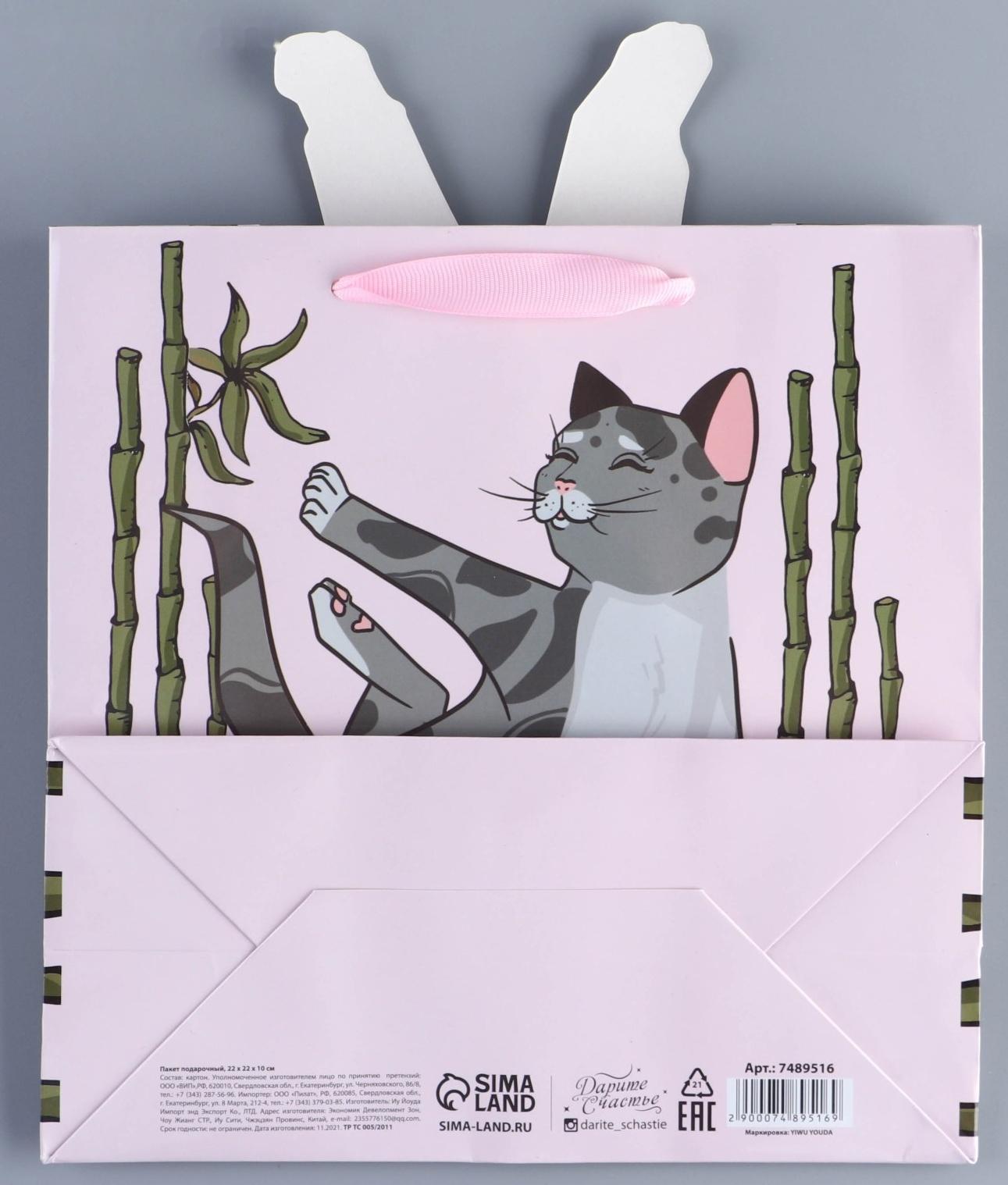 Пакет подарочный «Йога», 22 × 22 × 10 см