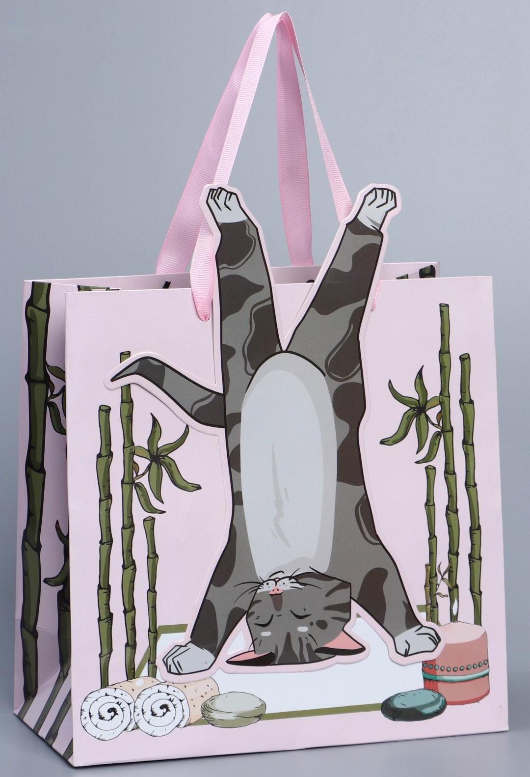 Пакет подарочный «Йога», 22 × 22 × 10 см