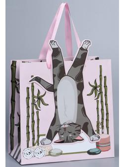 Пакет подарочный «Йога», 22 × 22 × 10 см