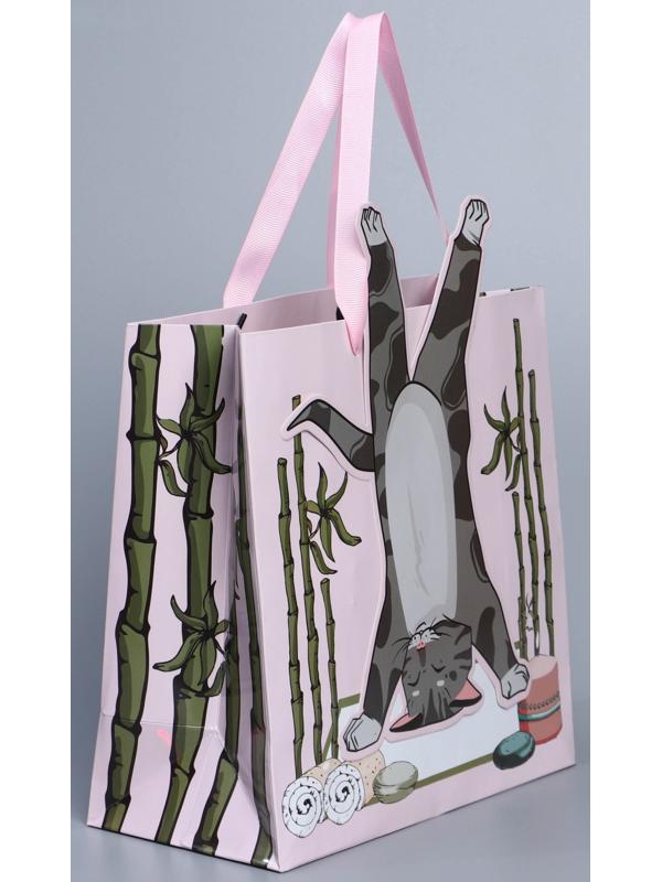 Пакет подарочный «Йога», 22 × 22 × 10 см