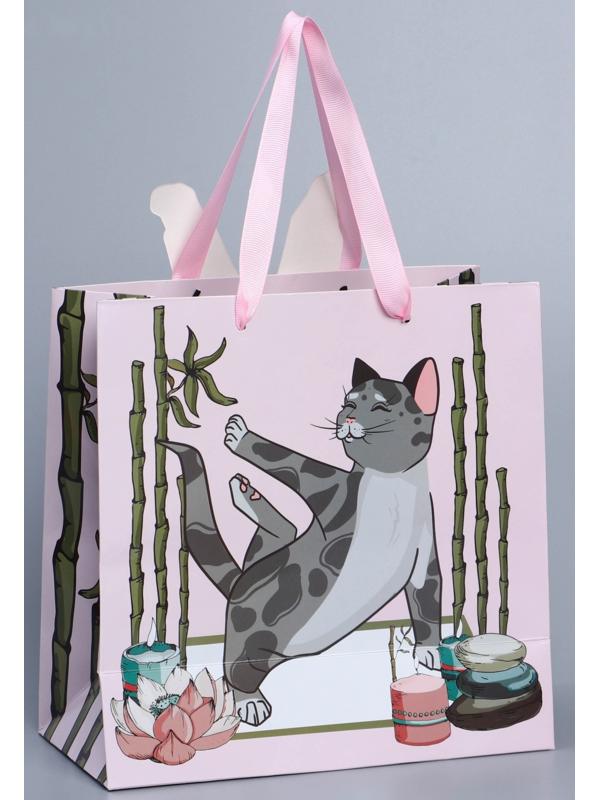 Пакет подарочный «Йога», 22 × 22 × 10 см