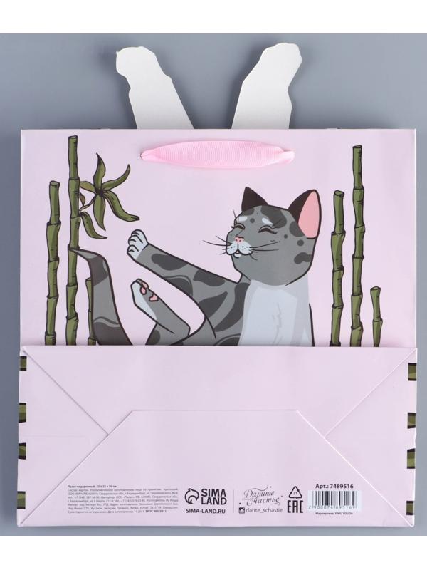 Пакет подарочный «Йога», 22 × 22 × 10 см