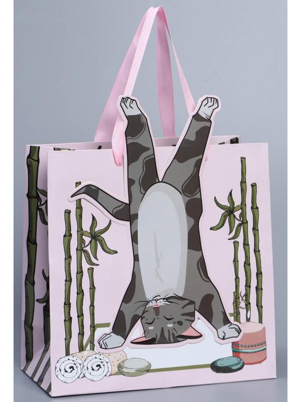 Пакет подарочный «Йога», 22 × 22 × 10 см