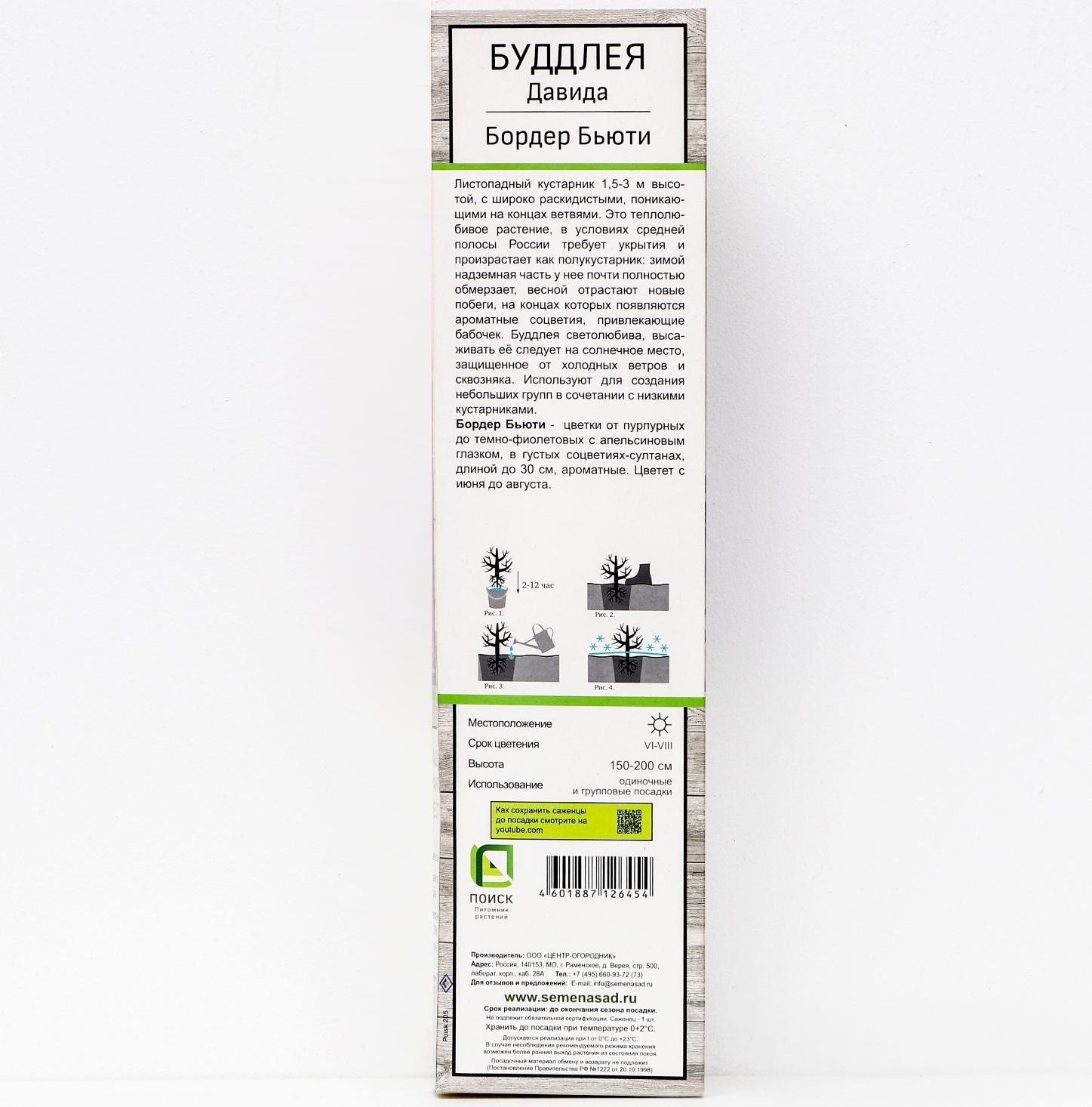 Буддлея Давида 