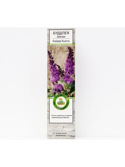 Буддлея Давида 