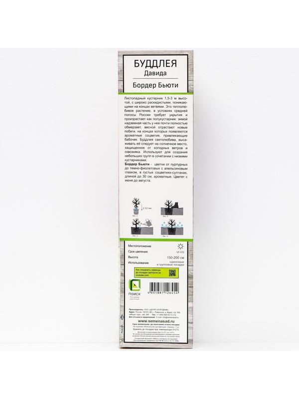 Буддлея Давида 