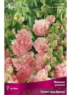 Мальва розовая Пичес энд Дримс, р-р I, 1 шт, Весна 2024