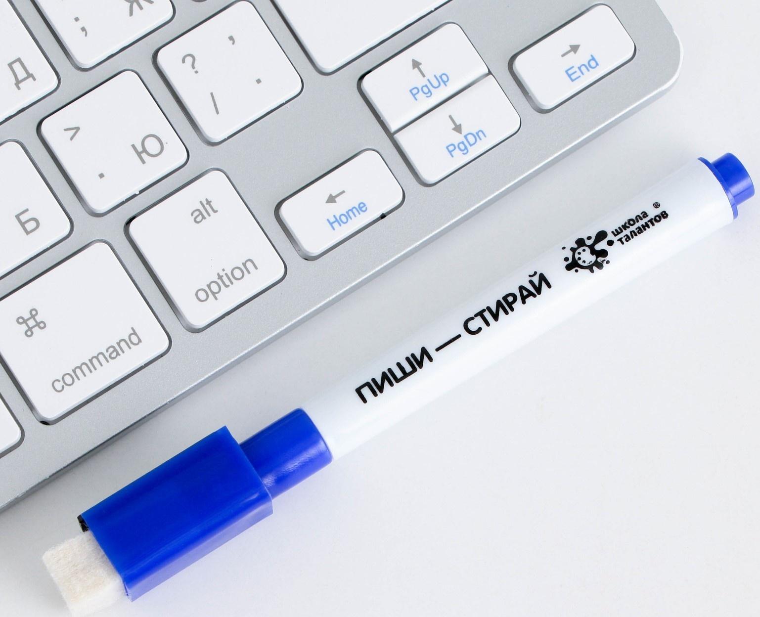 Расписание уроков «Животные в космосе» А4, многоразовое магнитное с маркером