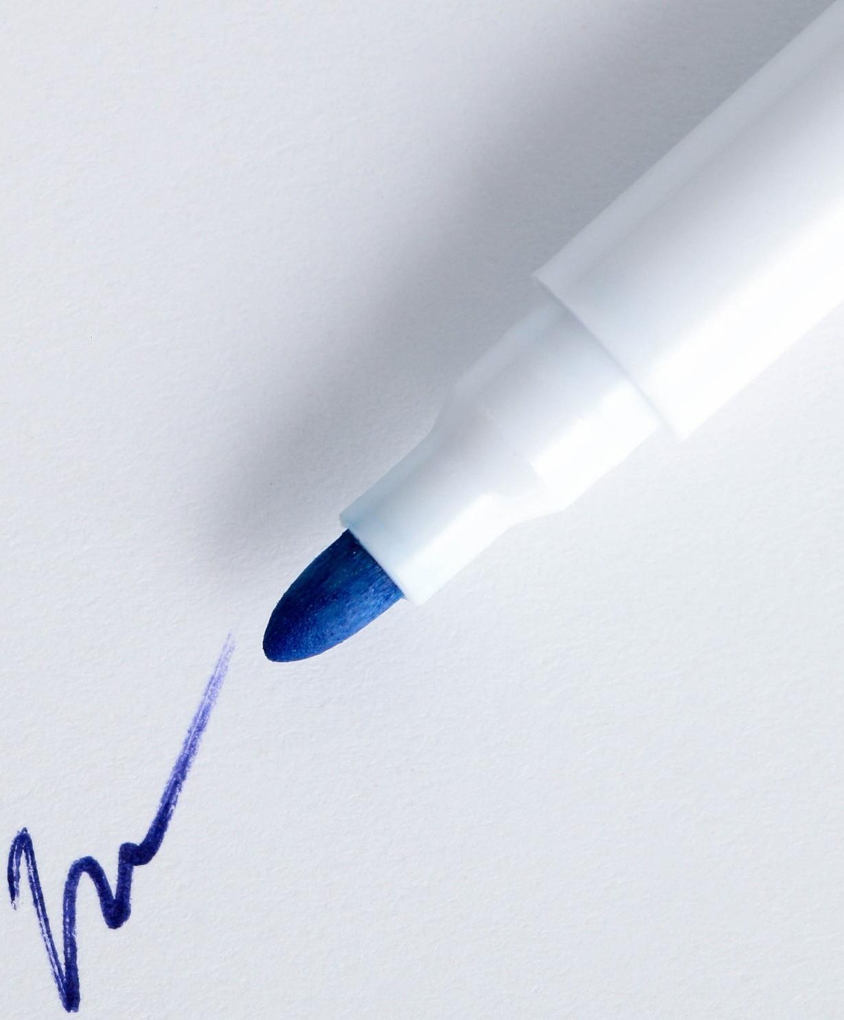 Расписание уроков «Животные в космосе» А4, многоразовое магнитное с маркером