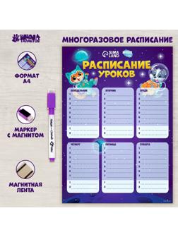 Расписание уроков «Животные в космосе» А4, многоразовое магнитное с маркером