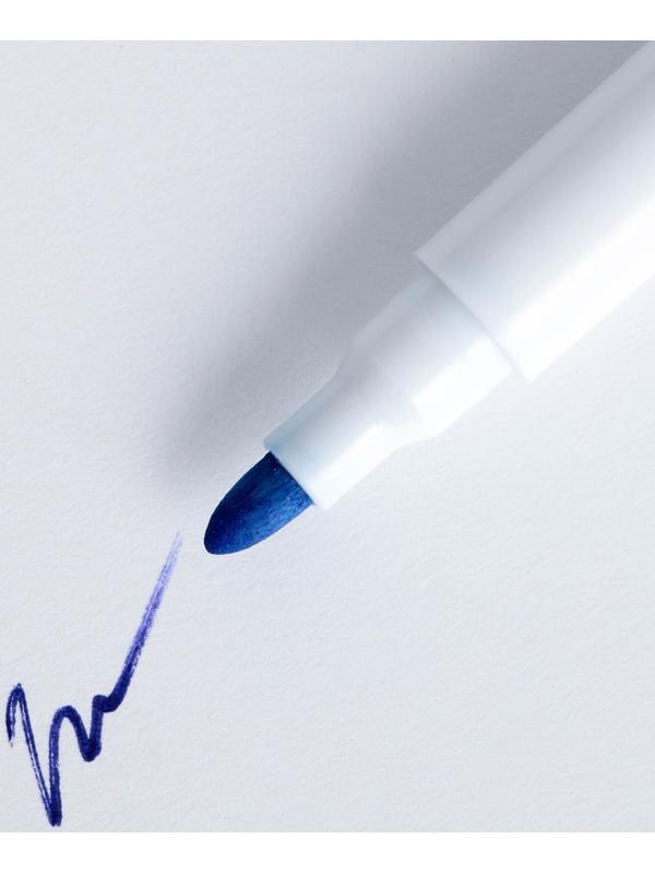 Расписание уроков «Животные в космосе» А4, многоразовое магнитное с маркером