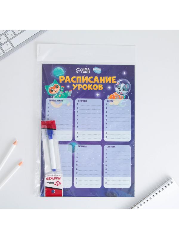 Расписание уроков «Животные в космосе» А4, многоразовое магнитное с маркером