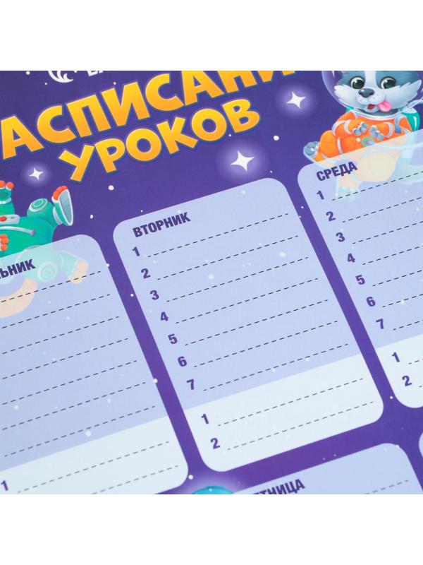 Расписание уроков «Животные в космосе» А4, многоразовое магнитное с маркером