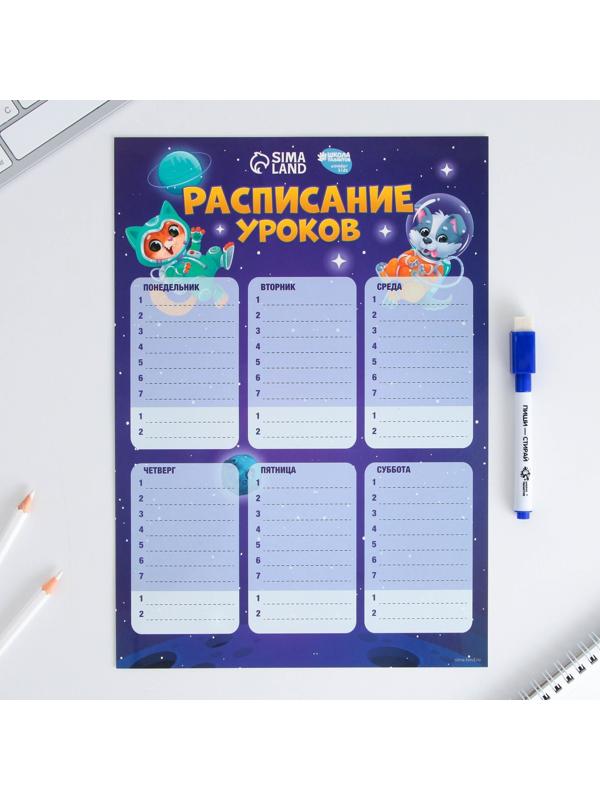 Расписание уроков «Животные в космосе» А4, многоразовое магнитное с маркером