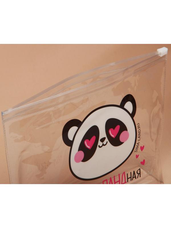 Косметичка из прозрачного PVC 21 х2 х14 см «Самая отПАНДная»