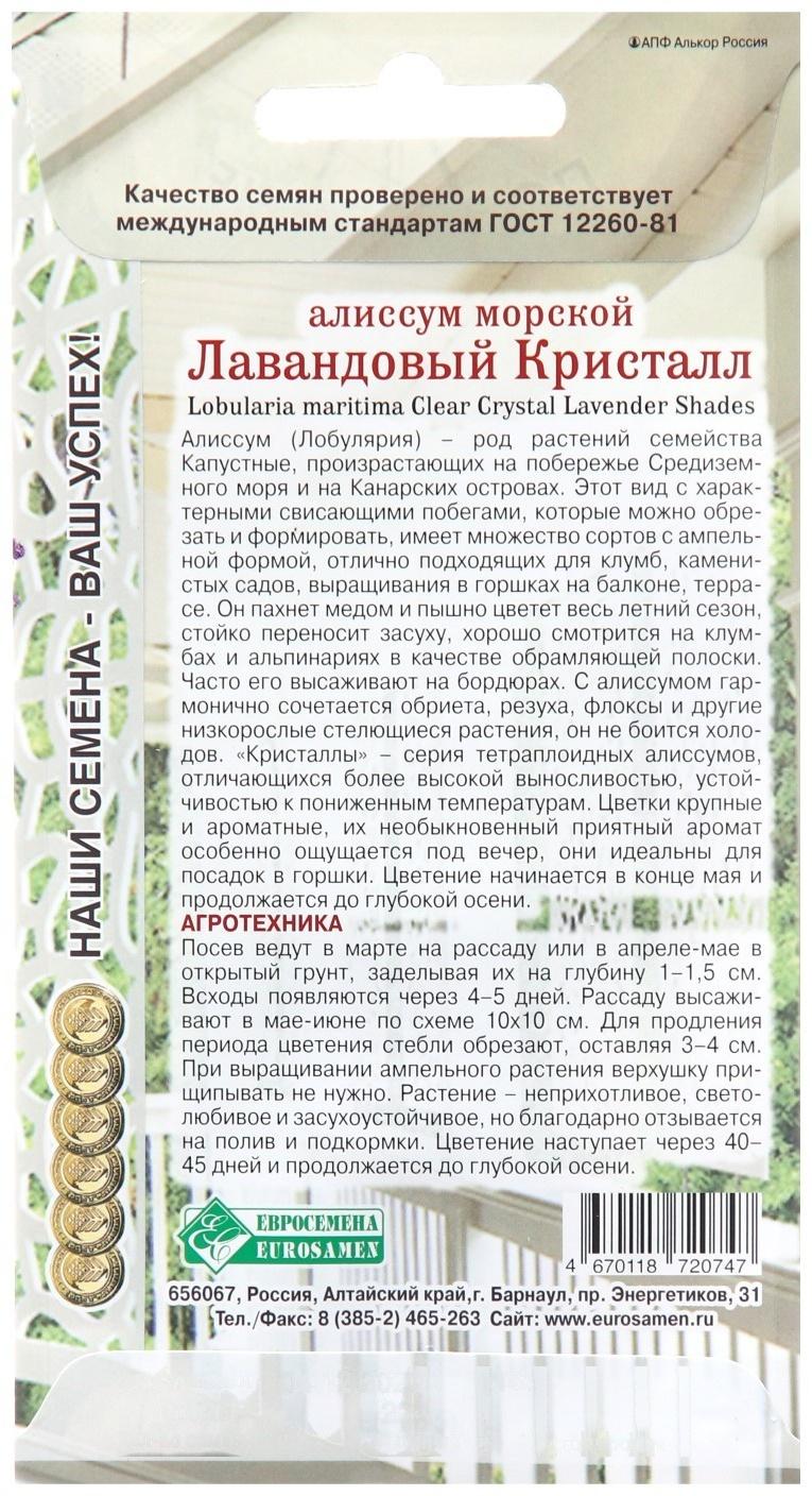 Семена цветов  Алиссум морской 