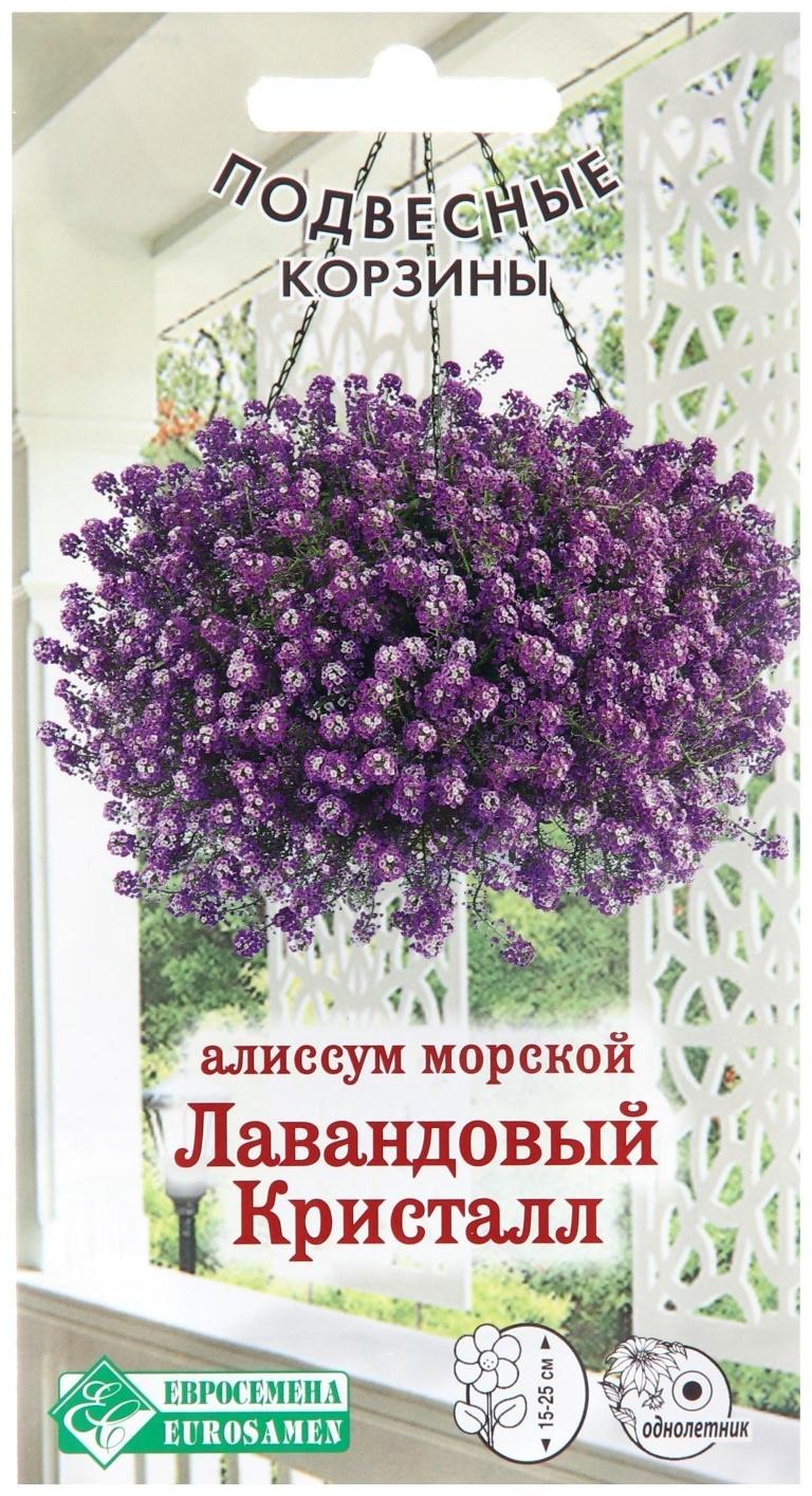 Семена цветов  Алиссум морской 