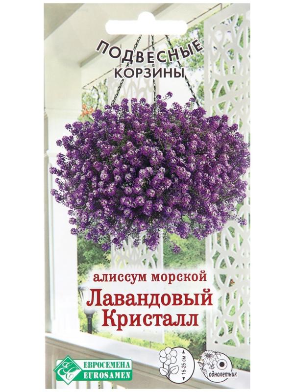 Семена цветов  Алиссум морской 