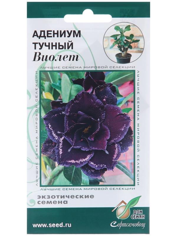 Семена цветов Адениум тучный 