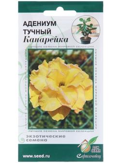 Семена цветов Адениум тучный 
