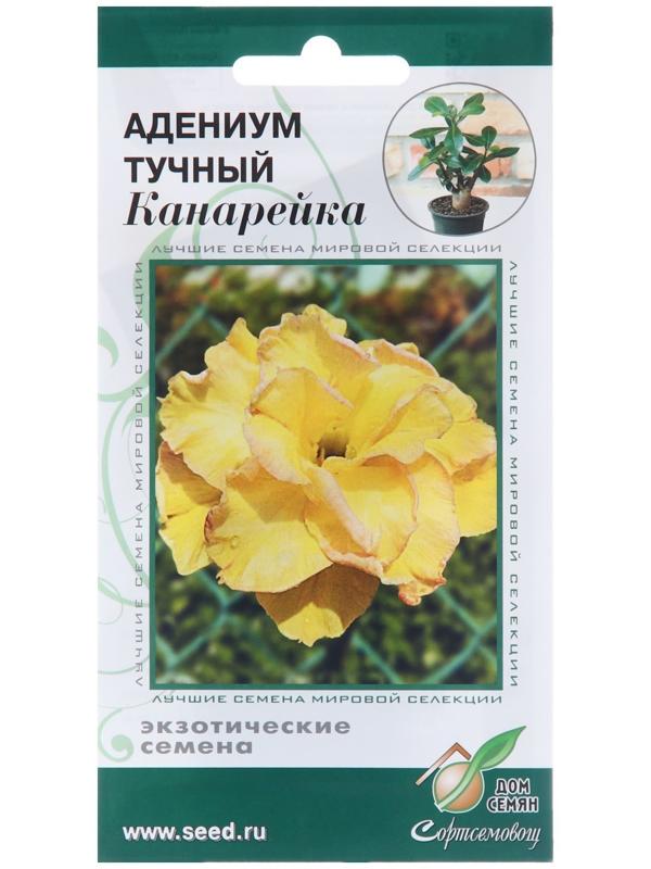 Семена цветов Адениум тучный 