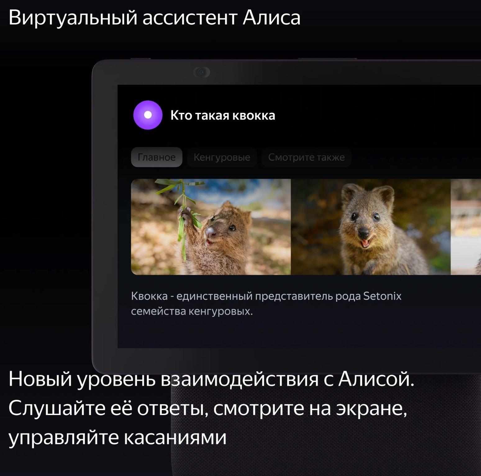 Умная колонка 