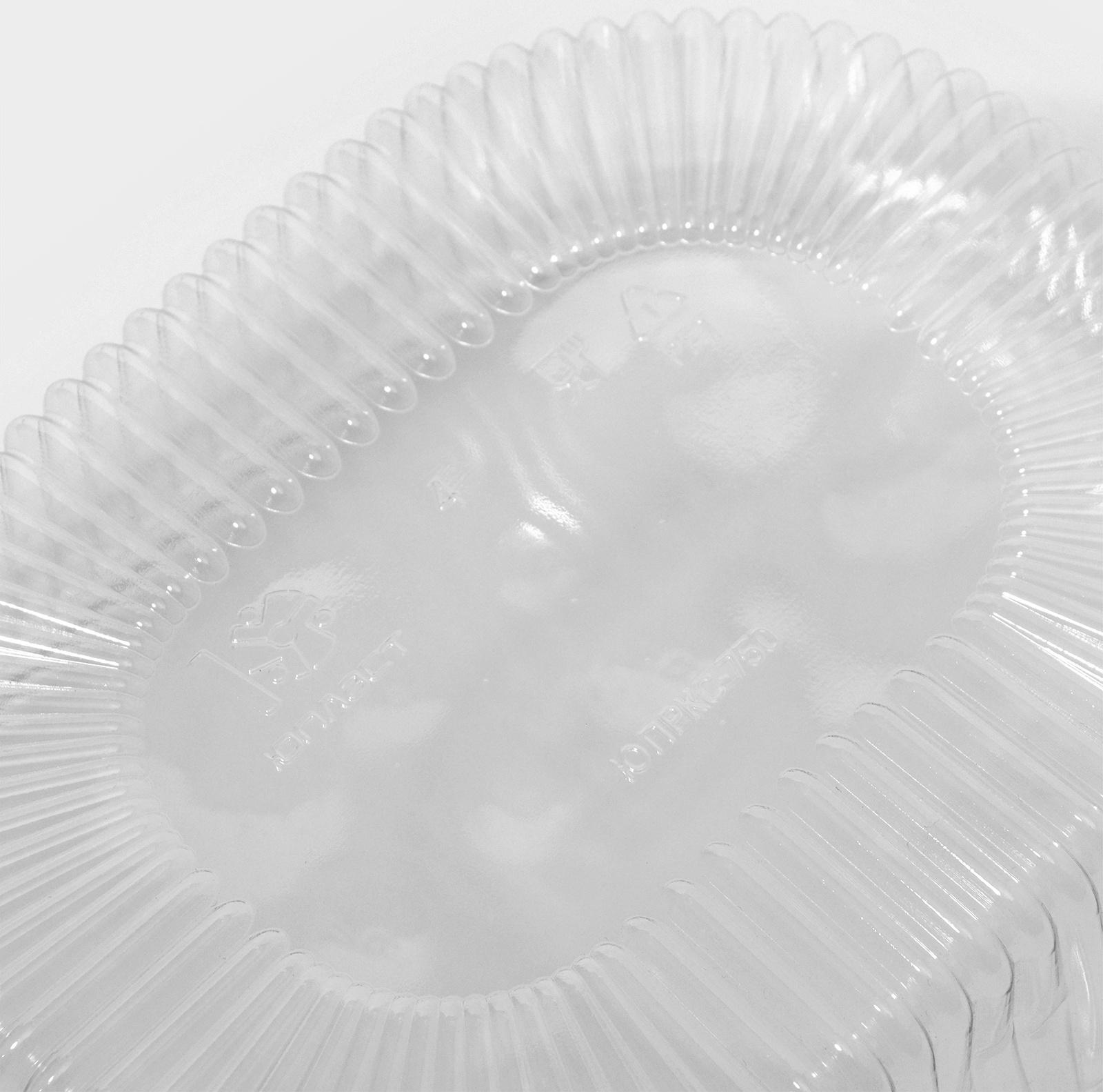 Контейнер одноразовый с неразъёмной крышкой, РКС-750, 750 мл, 17,6×14,7×6,4 см, 420 шт/уп