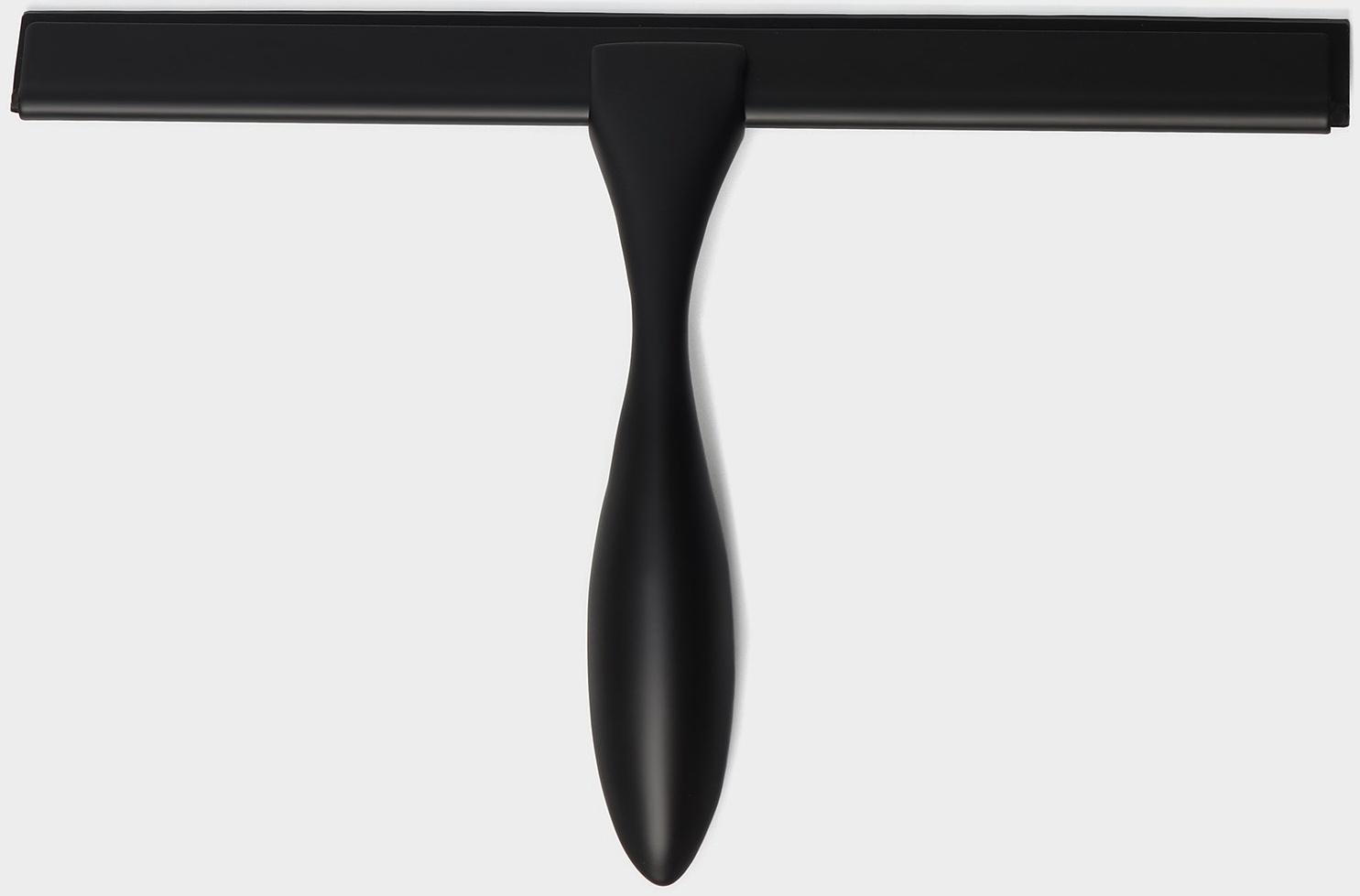 Водосгон из нержавеющей стали с комплектом держателей Raccoon, 25×16 см, цвет чёрный