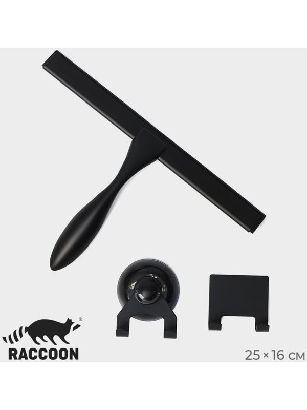 Водосгон из нержавеющей стали с комплектом держателей Raccoon, 25×16 см, цвет чёрный