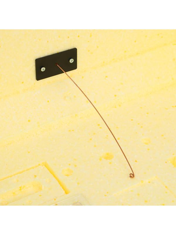 Инкубатор бытовой «Золушка-2020», на 70 яиц, автоматический переворот, 220 В