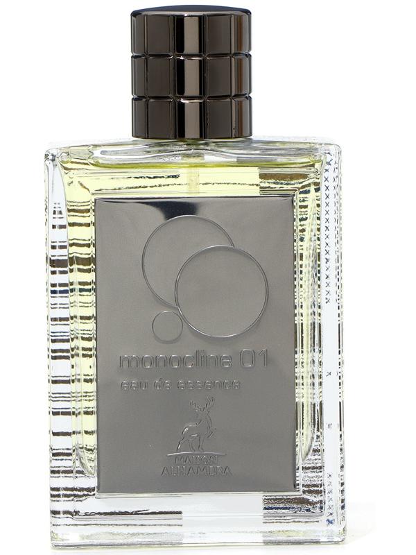 Парфюмерная вода MONOCLINE 01 мужская, 100 мл (по мотивам Molecule 01)