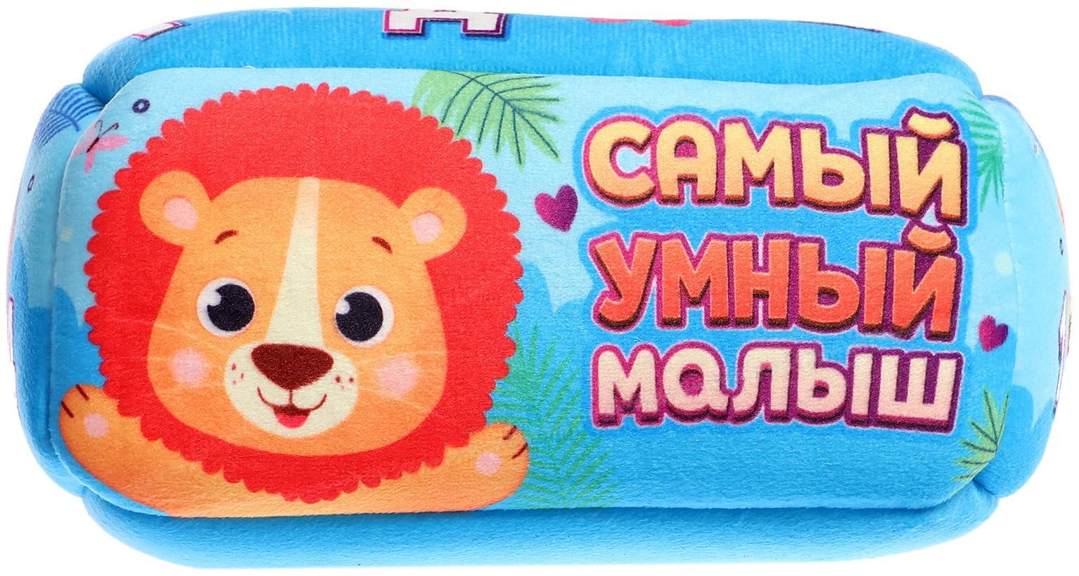 Сортер «Самый умный малыш»