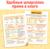 Книга-тренажёр «Уроки грамотности. 1-2 класс», 36 стр.