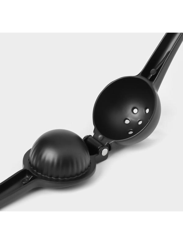 Пресс для цитрусовых Magistro Alum black, цвет чёрный