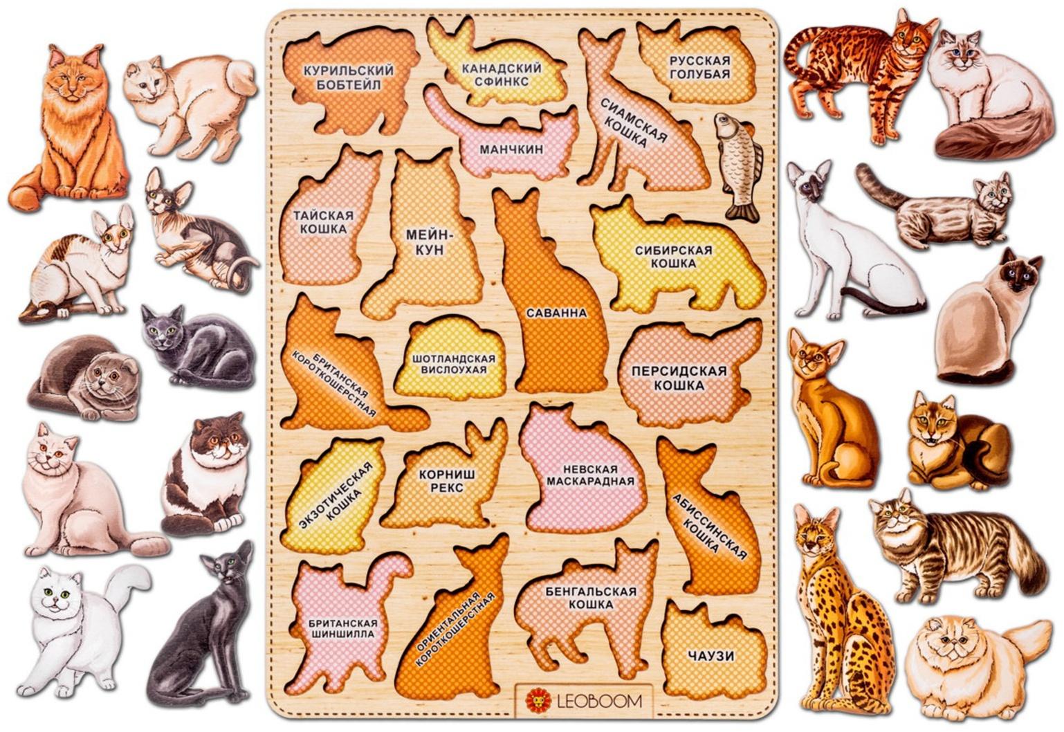 Рамки-вкладыши 