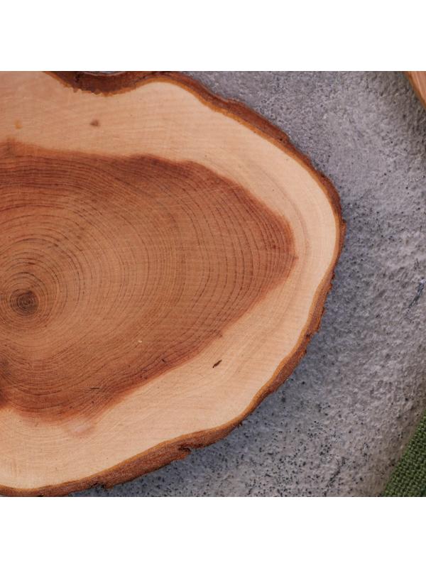 Подставка под кружку, цельная, 8-10 см, можжевельник