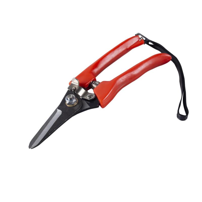 Секатор цветочный пластиковые ручки с ремешком,170мм Feona004-0828(22776)