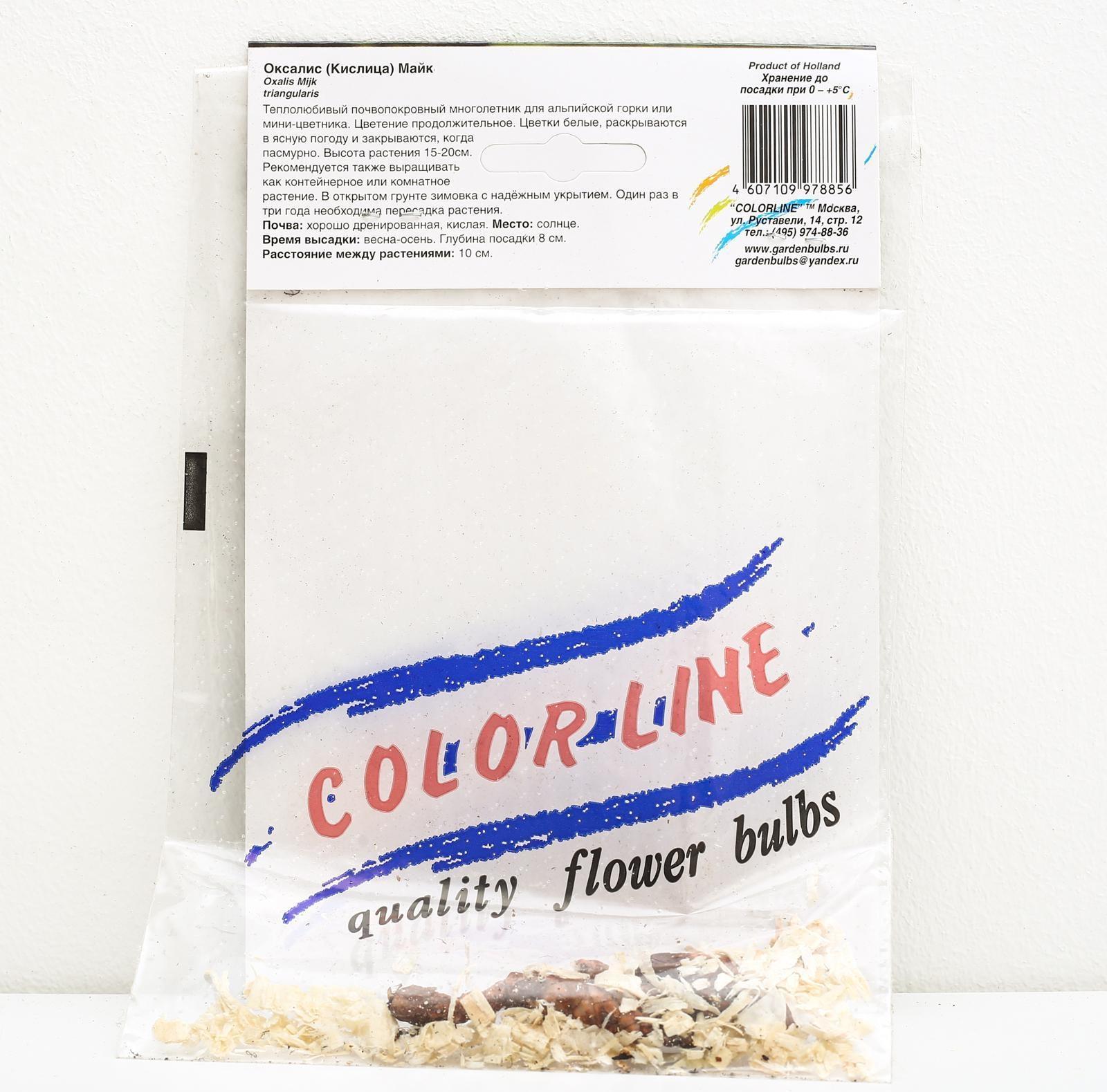 ОКСАЛИС МАЙК р-р I, 5 шт