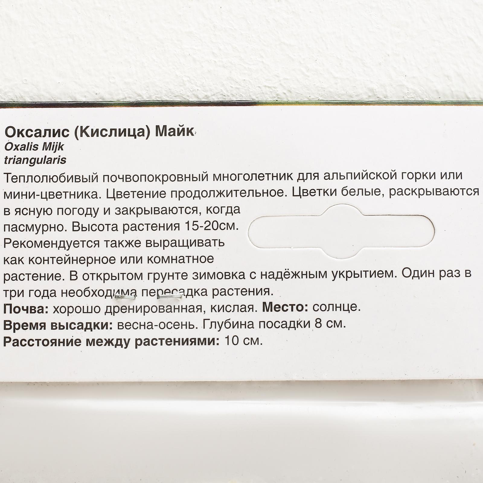 ОКСАЛИС МАЙК р-р I, 5 шт