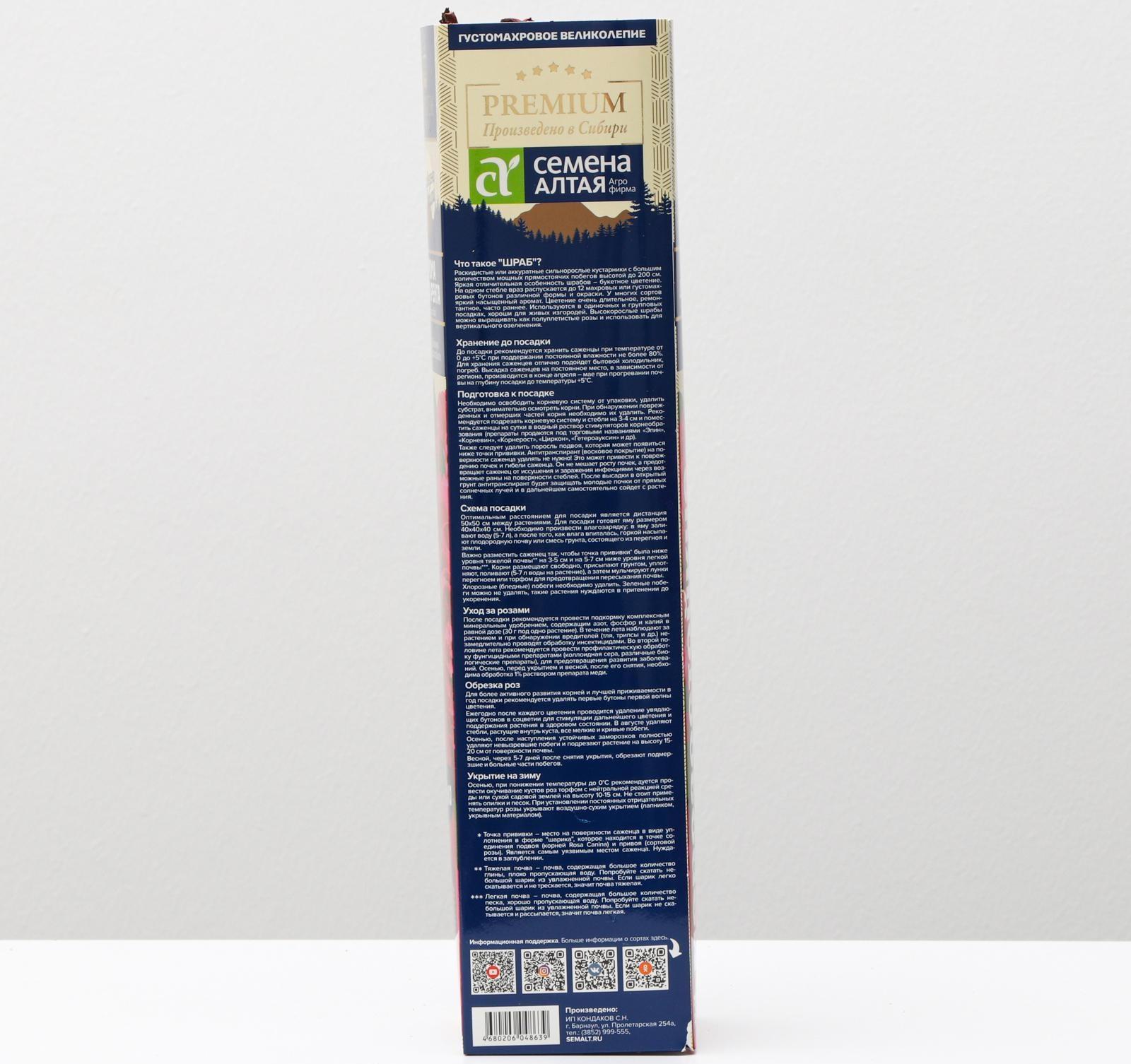 Саженец розы Арома де ла рента Весна 2024, 1 шт.