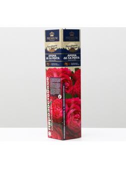 Саженец розы Арома де ла рента Весна 2024, 1 шт.