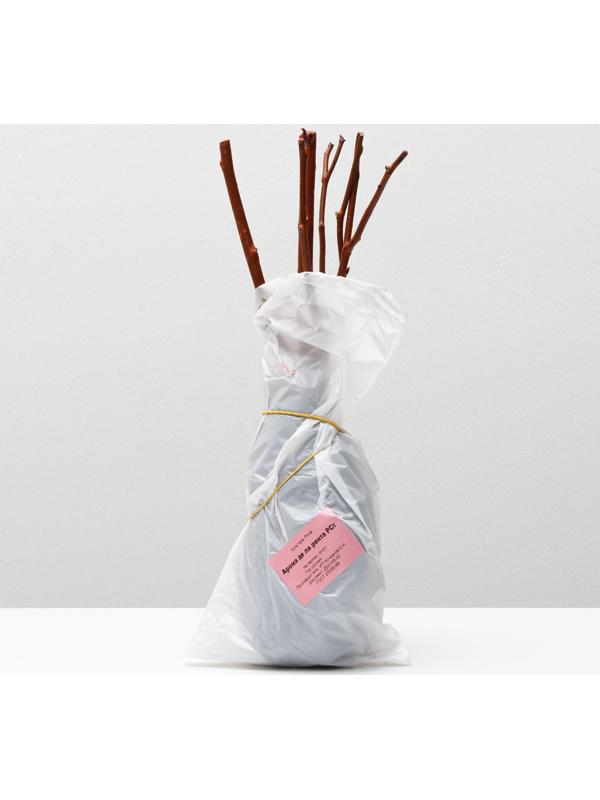 Саженец розы Арома де ла рента Весна 2024, 1 шт.