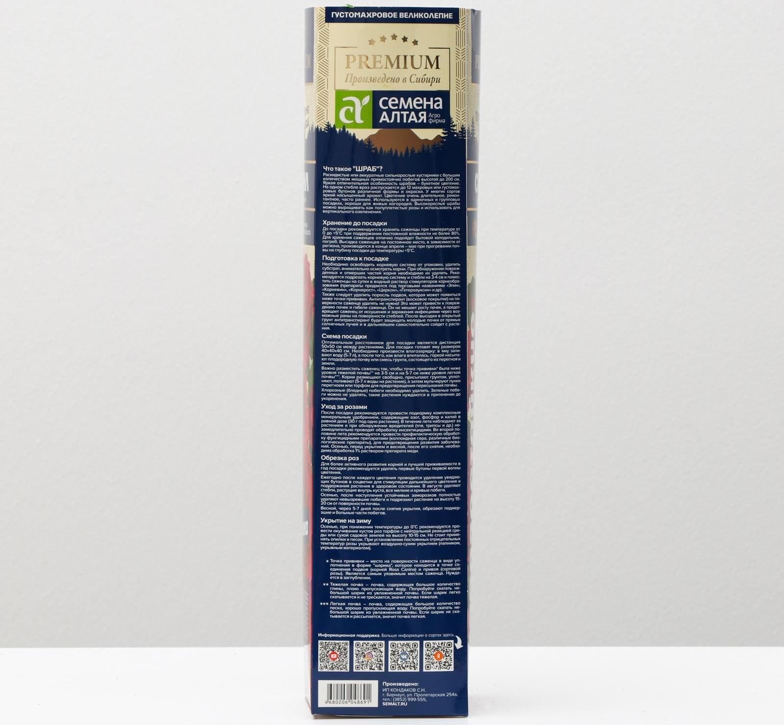 Саженец розы Сивил Весна 2024, 1 шт.