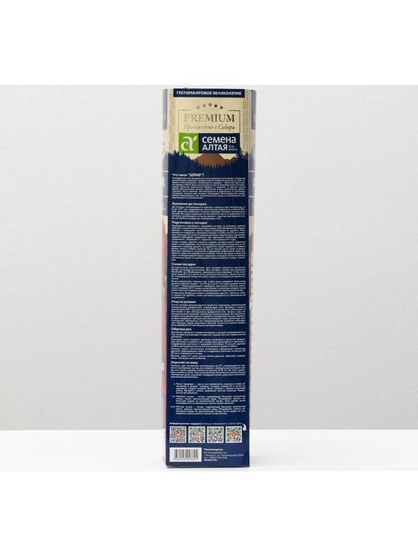 Саженец розы Сивил Весна 2024, 1 шт.